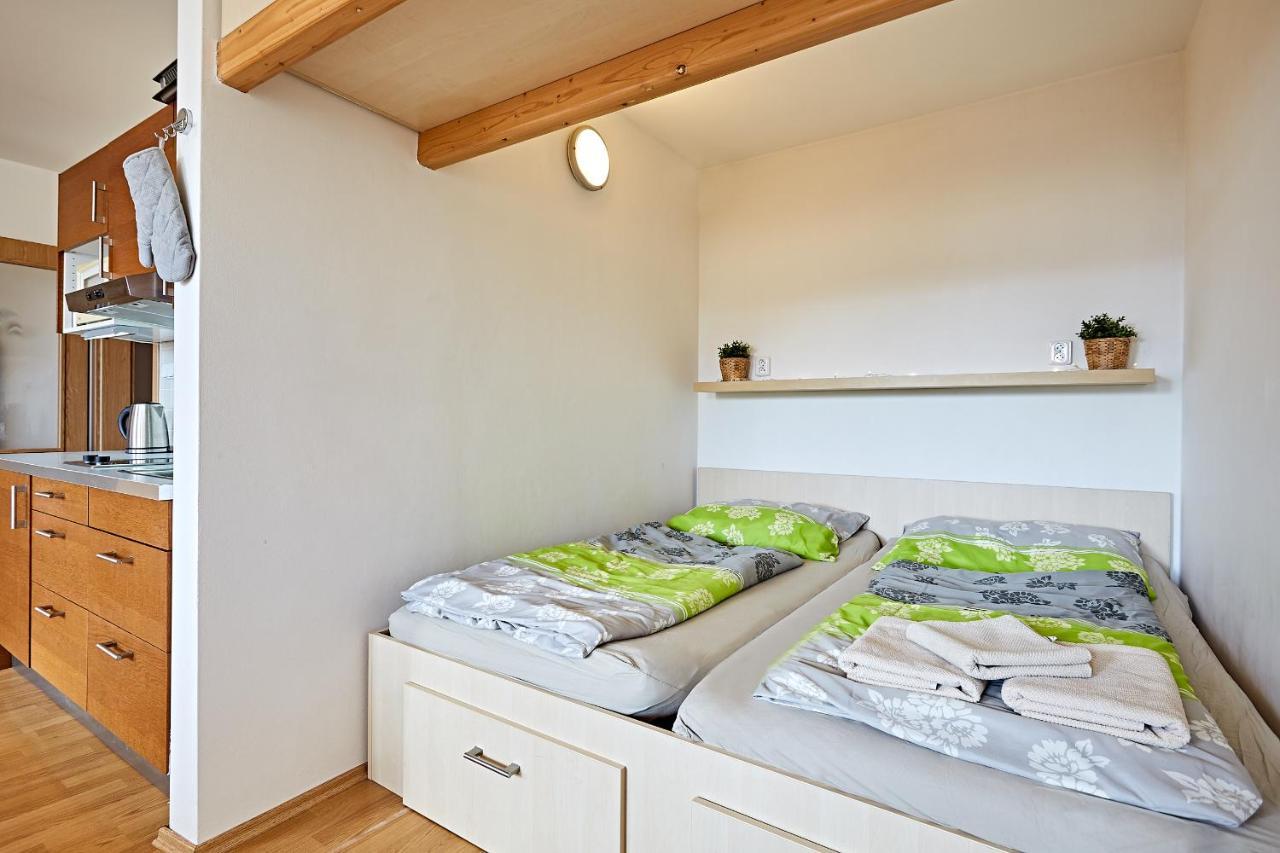 Apartman Klinovec 365 Loučná pod Klínovcem Bagian luar foto