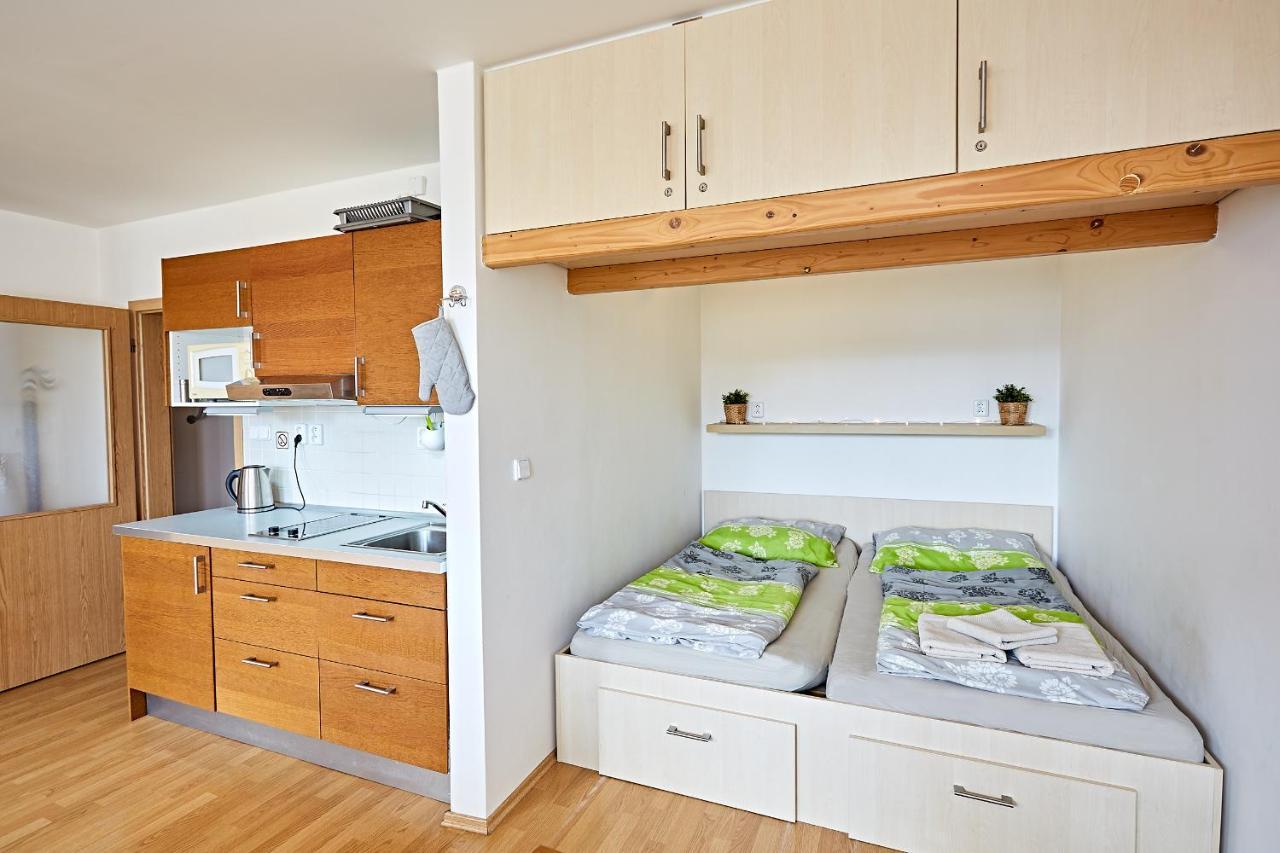 Apartman Klinovec 365 Loučná pod Klínovcem Bagian luar foto